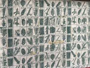 Tim Holtz fabric fat 1/4 - Holidays Past: Pine chart