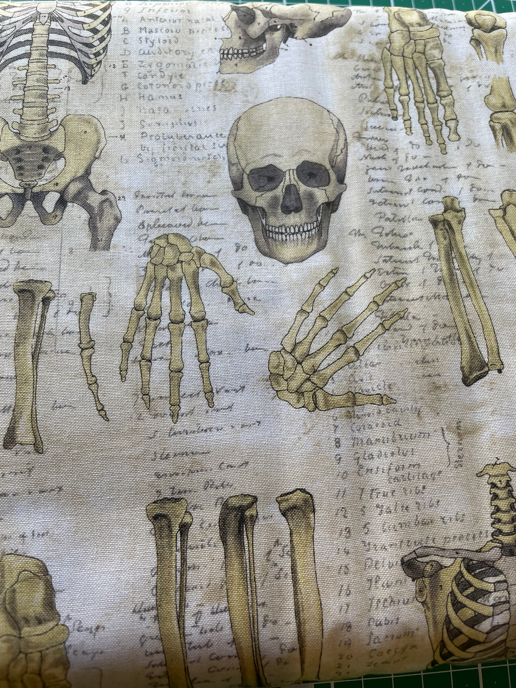 Tim Holtz fabric fat 1/4 - Laboratory: Anatomy