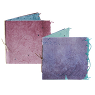 Seth Apter sizzix die: mini page duo