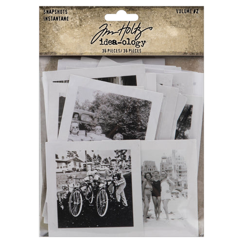 Tim Holtz - Idea-Ology: Snapshots volume 2- 36 pieces