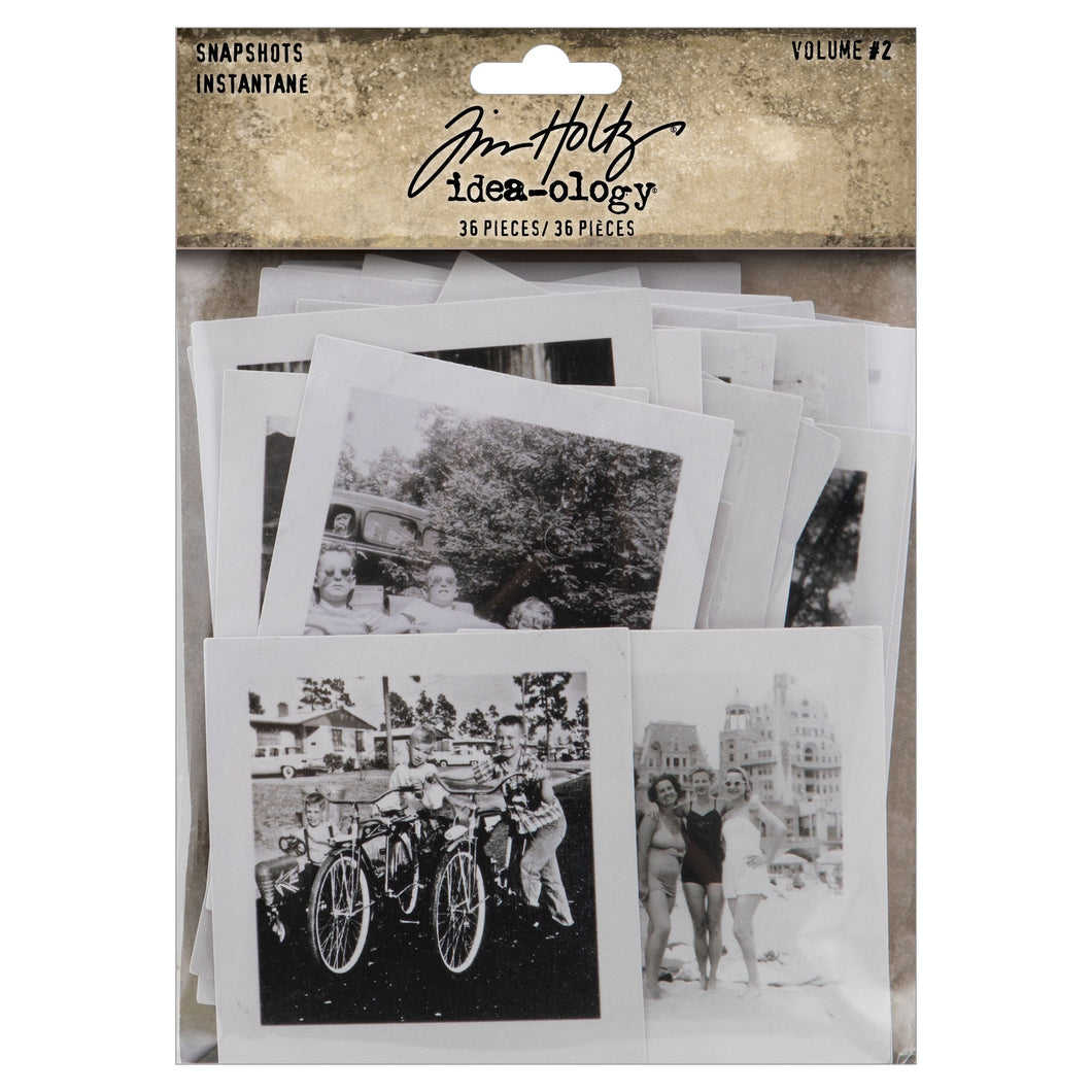 Tim Holtz - Idea-Ology: Snapshots volume 2- 36 pieces