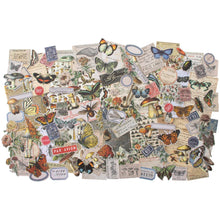 Tim Holtz Idea-Ology Field notes Ephemera Pack large