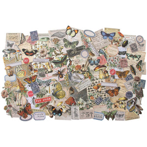Tim Holtz Idea-Ology Field notes Ephemera Pack large