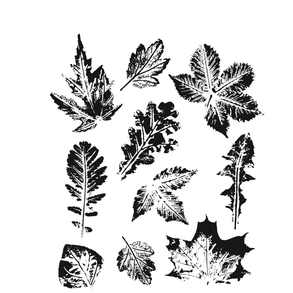 Tim Holtz Stampers anonymous - Leaf prints 2